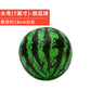 6 Inch Basketball Rubber Ball